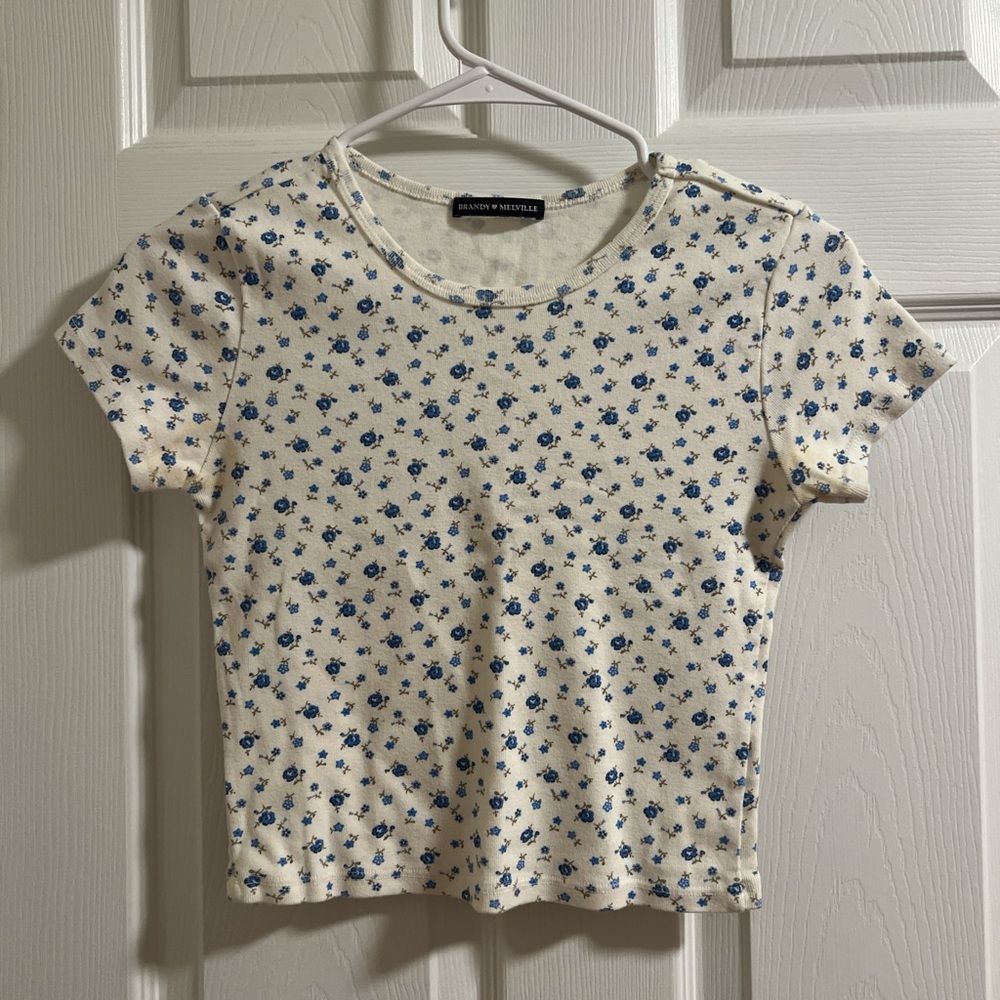 Brandy Melville Floral Cream and Blue Top